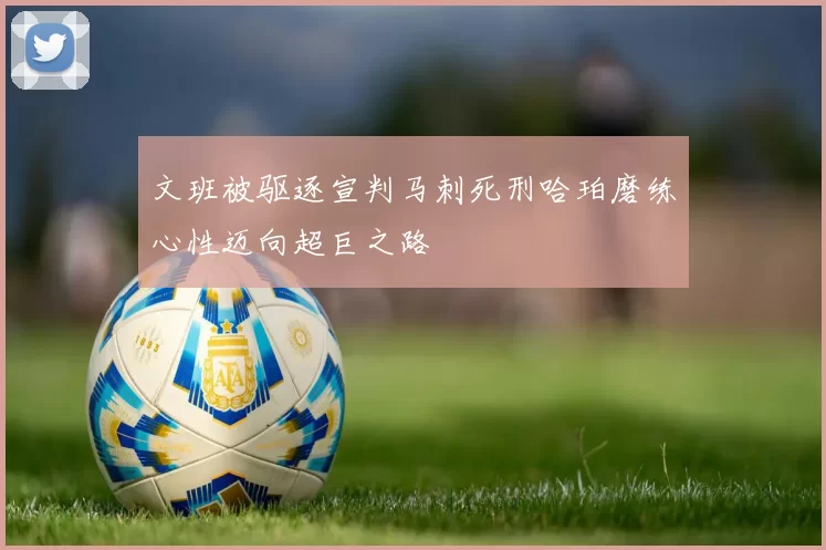 文班被驱逐宣判马刺死刑哈珀磨练心性迈向超巨之路