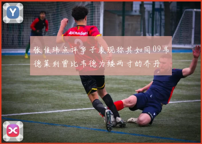张佳玮点评华子表现称其如同09韦德莱利曾比韦德为矮两寸的乔丹